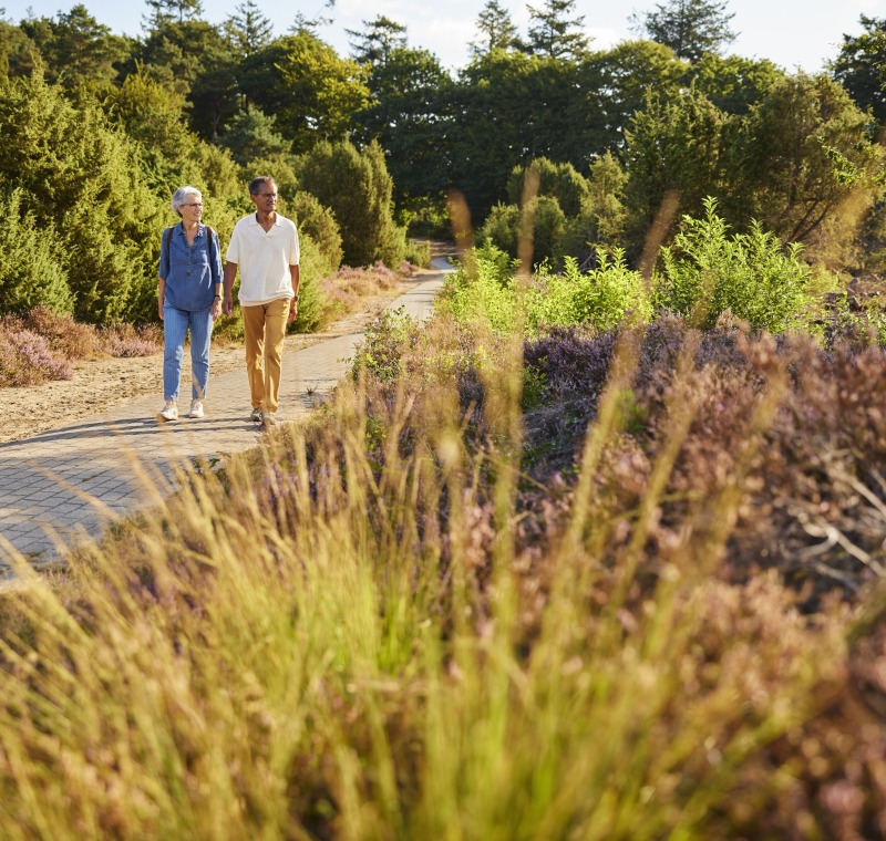 Twee oudere mensen wandelen samen op een zonnig wandelpad omringd door groene struiken en bomen.