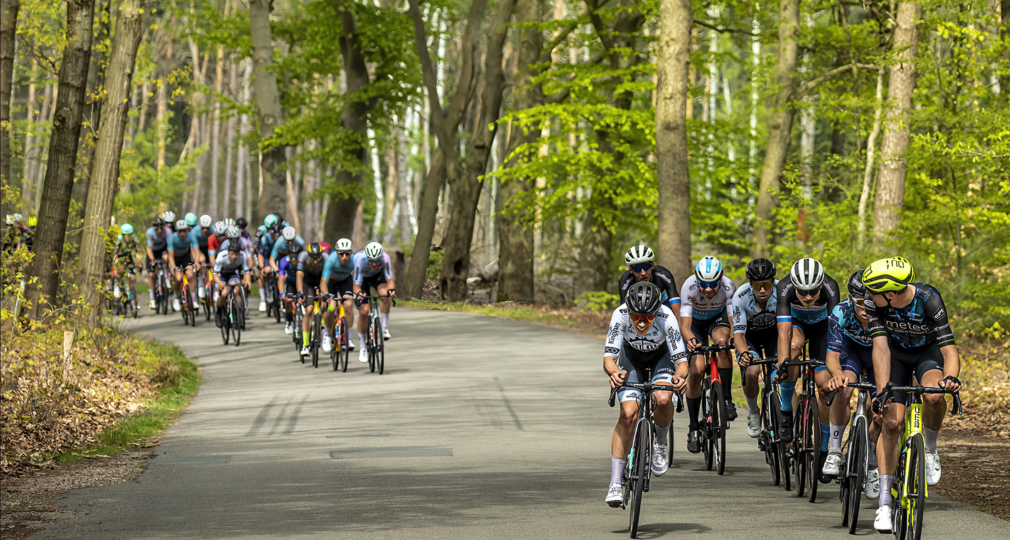 Wielrenners rijden in een groep door een bosrijk gebied op een bochtige weg tijdens een race.