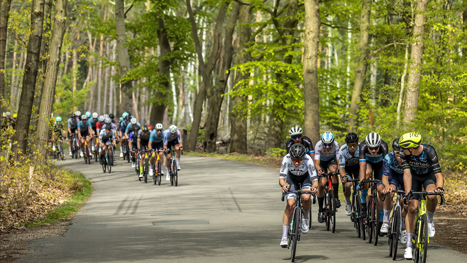 Wielrenners rijden in een groep door een bosrijk gebied op een bochtige weg tijdens een race.