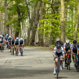 Wielrenners rijden in een groep door een bosrijk gebied op een bochtige weg tijdens een race.
