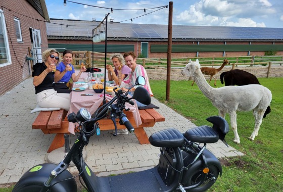 Vier vrouwen genieten van een maaltijd aan een picknicktafel met alpaca’s in de tuin en een scooter op de voorgrond.