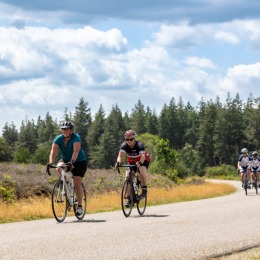 Groep fietsers rijdt op een landelijke weg omgeven door bomen en bos onder een bewolkte lucht.