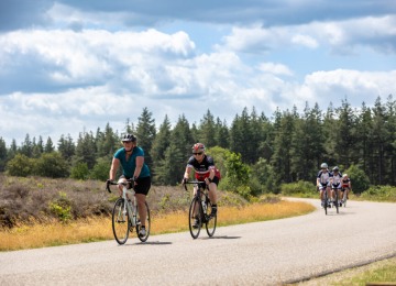 Groep fietsers rijdt op een landelijke weg omgeven door bomen en bos onder een bewolkte lucht.