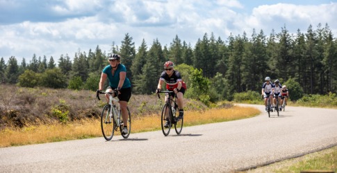 Groep fietsers rijdt op een landelijke weg omgeven door bomen en bos onder een bewolkte lucht.