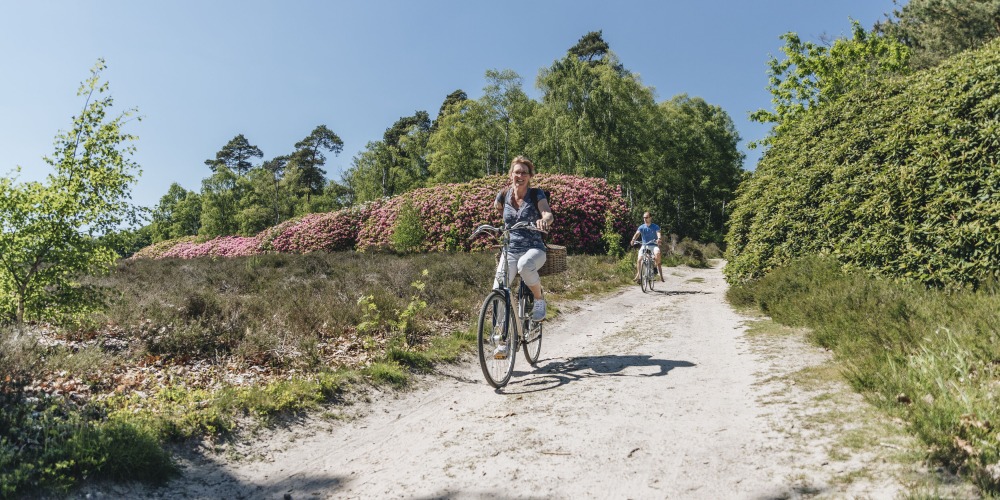Landschap vol Smaak fietsroute