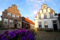Historische Nederlandse huizen met trapgevels, kleurrijke bloemen vooraan, zonnige hemel en oud straatje.