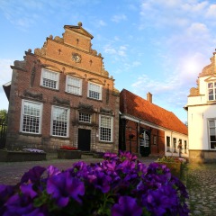 Historische Nederlandse huizen met trapgevels, kleurrijke bloemen vooraan, zonnige hemel en oud straatje.