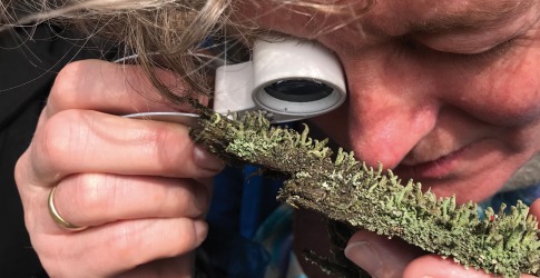 Het Onzichtbare Bos | Over-Leven in Symbiose