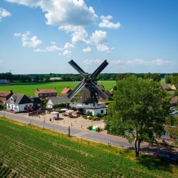 Traditionele Nederlandse windmolen omringd door groene velden en huizen in een landelijk landschap.