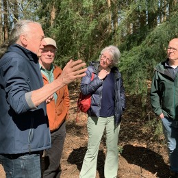 Groep volwassenen luistert aandachtig naar een gids tijdens een boswandeling op een zonnige dag.