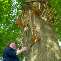 Vrouw plaatst kunstinstallatie met vogelkooien aan een boom in een groen bosrijk gebied op een zonnige dag.