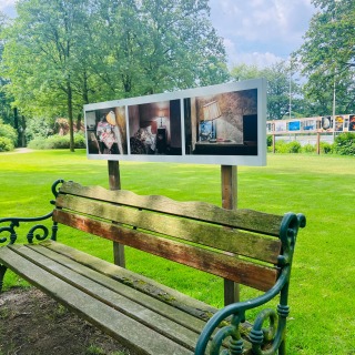 Verwitterte Holzbank im Park mit Fotokunst auf einem Schild, umgeben von grünen, belaubten Bäumen.