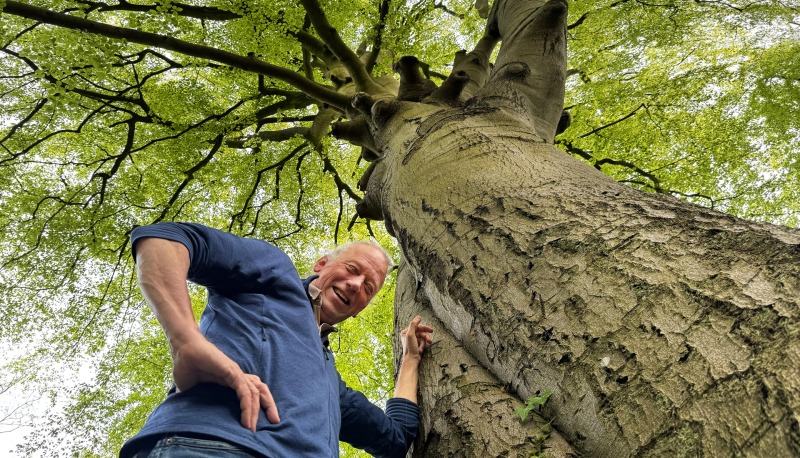 Het Onzichtbare Bos - ‘BoomDynamiek’, een fascinerende kenniswandeling over het leven van bomen