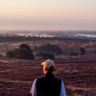 Person mit Mütze blickt über eine weite Heidelandschaft bei Sonnenaufgang mit Nebel und fernen Bäumen.
