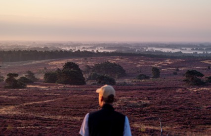 Persoon met pet kijkt uit over uitgestrekt heidelandschap bij zonsopgang met mist en bomen in de verte.