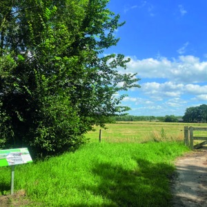 Een zonnig landschap met een groene wei, bomen, een hek, informatiebord en blauwe lucht met wolken.