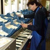 Aspergeteler Slaghekke