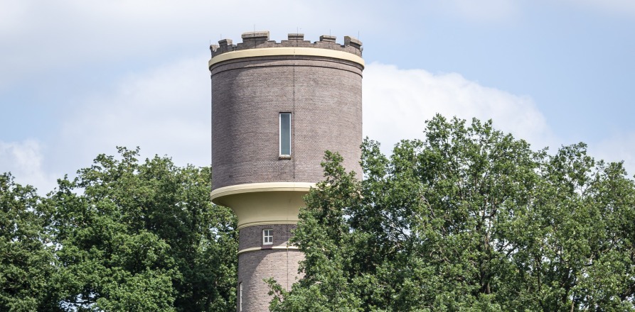 Historische watertoren omgeven door groene bomen en struiken, gefotografeerd op een zonnige dag.