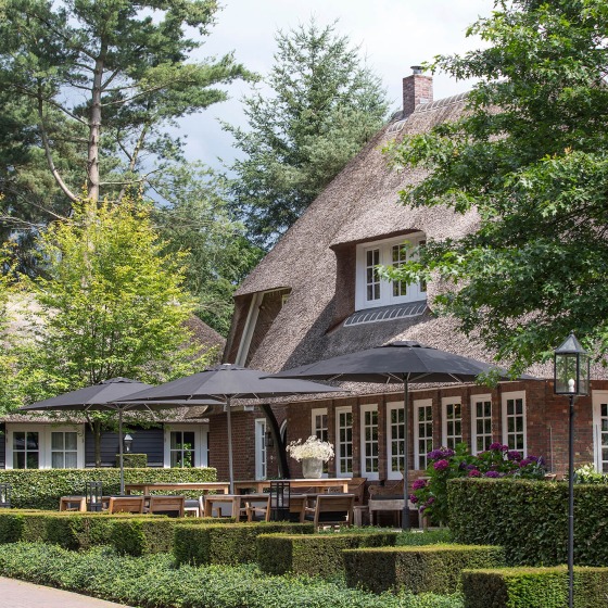 Charmant huis met rieten dak, omgeven door bomen en een verzorgde tuin met terras in de zon.