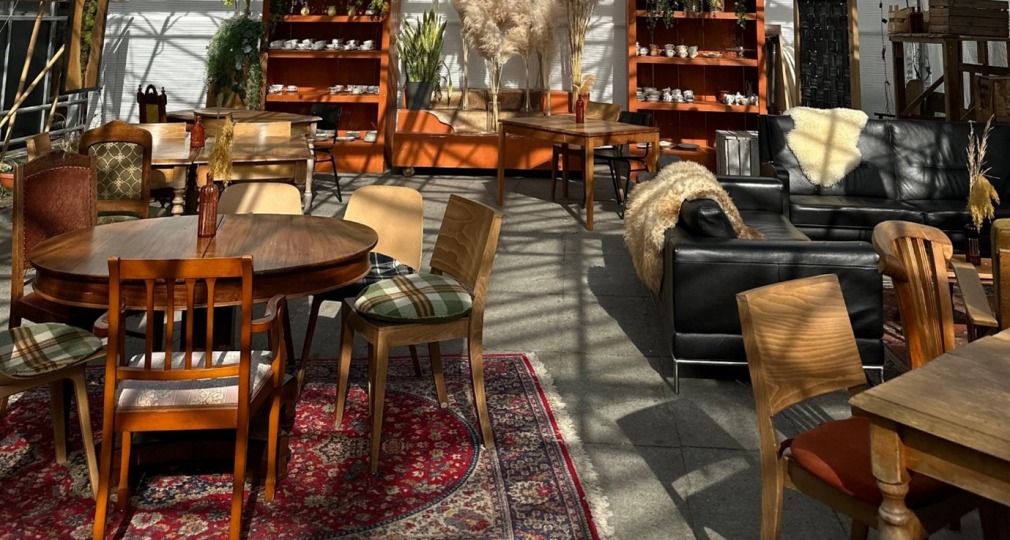 Gezellige serre met vintage houten tafels en stoelen, planten, tapijt en veel daglicht door glazen dak.