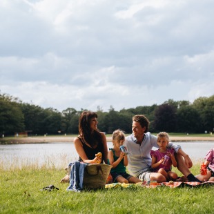 Gezin zit op een picknickkleed bij een meer in het park en geniet samen van hapjes en drankjes.