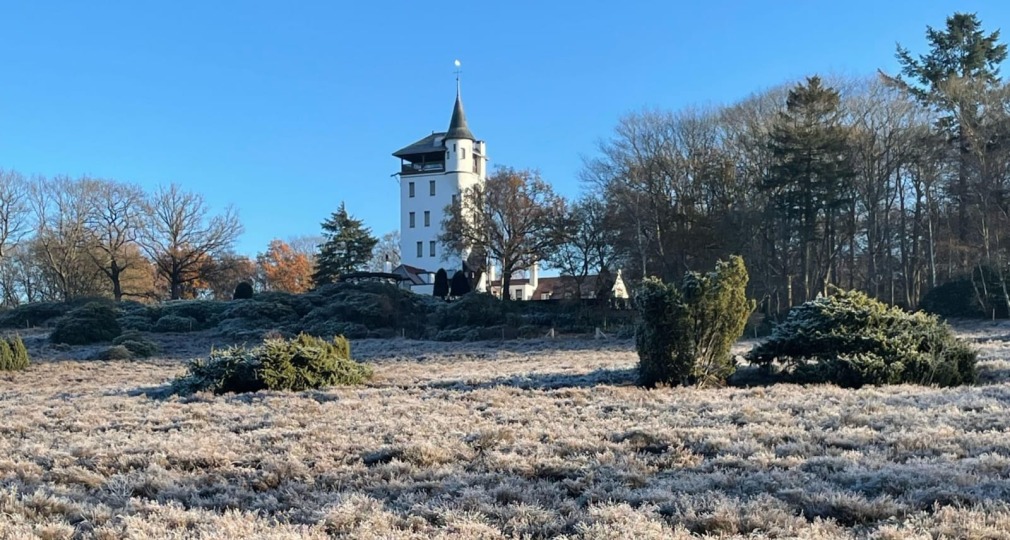 Een witte toren staat tussen bomen op de achtergrond, met een vorstig grasveld op een heldere winterdag.