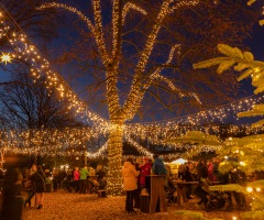 Unieke Kerstmarkt in Tierpark Nordhorn
