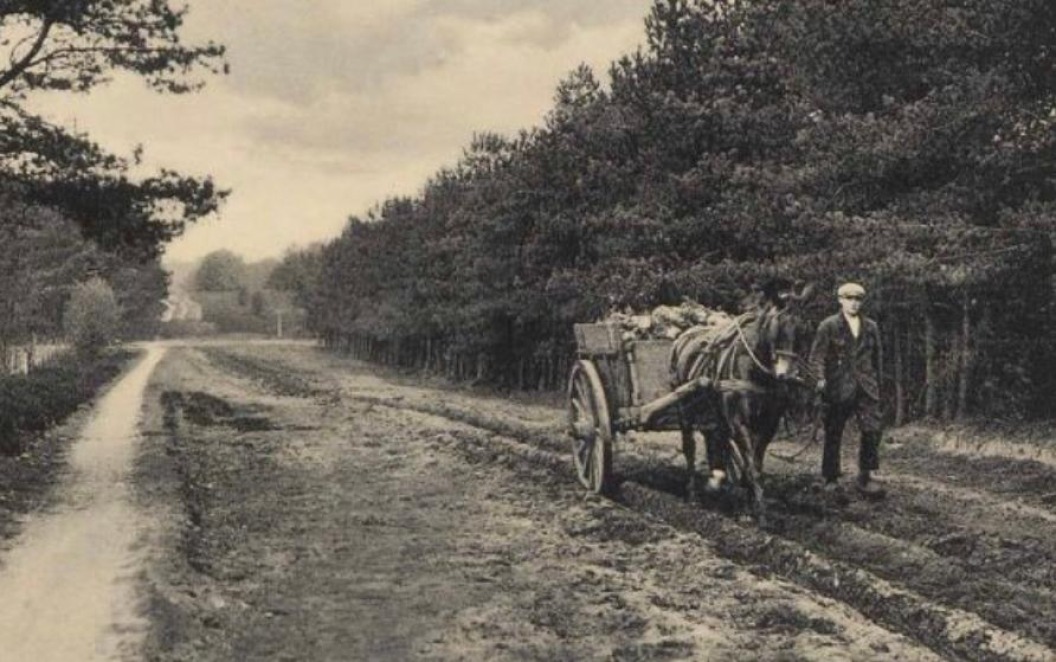 De boetes van douanier Claes