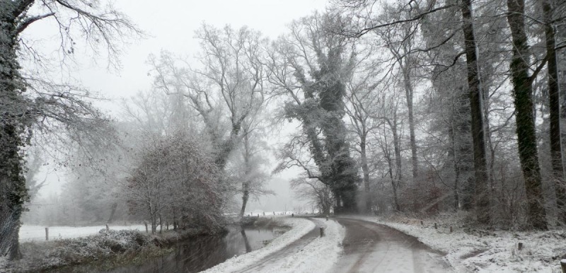 Midwinterwandeling Delden - Kom na de kerst wandelen op het prachtige Twickel met het hele gezin.