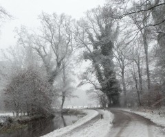 Midwinterwandeling Delden