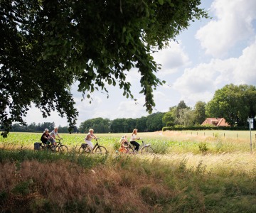 Groep mensen fietst door een zonnig, landelijk landschap met groene velden en bomen in de zomer.