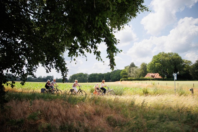 Groep mensen fietst door een zonnig, landelijk landschap met groene velden en bomen in de zomer.