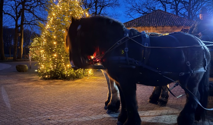 Winterse smokkeltocht met paard en wagen