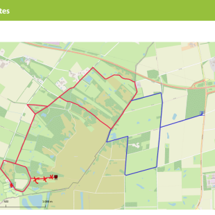 Kaart van Aamsveen wandeltoutes met rode en blauwe routes, parkeerplek en natuurgebieden gemarkeerd.