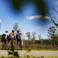 Drie wielrenners in sportkleding en helmen pauzeren op een landweg om te genieten van het natuurrijke uitzicht.