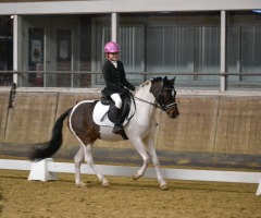 Paardensportevenement: Dressuur- en bixie wedstrijd Martiniruiters