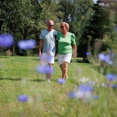 Twee oudere volwassenen wandelen samen door een groene tuin met paarse bloemen op een zonnige dag.