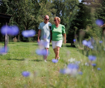 Twee oudere volwassenen wandelen samen door een groene tuin met paarse bloemen op een zonnige dag.