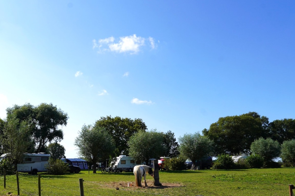 Camping de Barsbeker - Photo 2