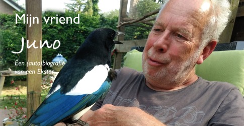 Een oudere man zit buiten met een ekster op zijn arm, het boekomslag toont de titel 'Mijn vriend Juno'.