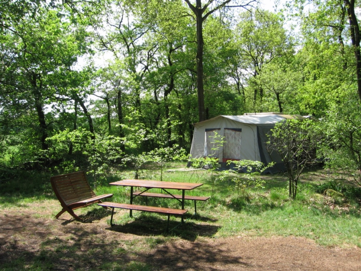 Camping en Hooischuurverblijf De Witker photo 3