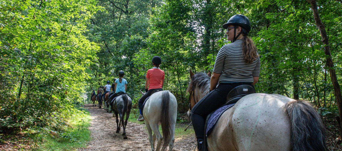 Groep mensen rijdt op paarden door een bosrijk pad, omgeven door groene bomen en zonlicht.
