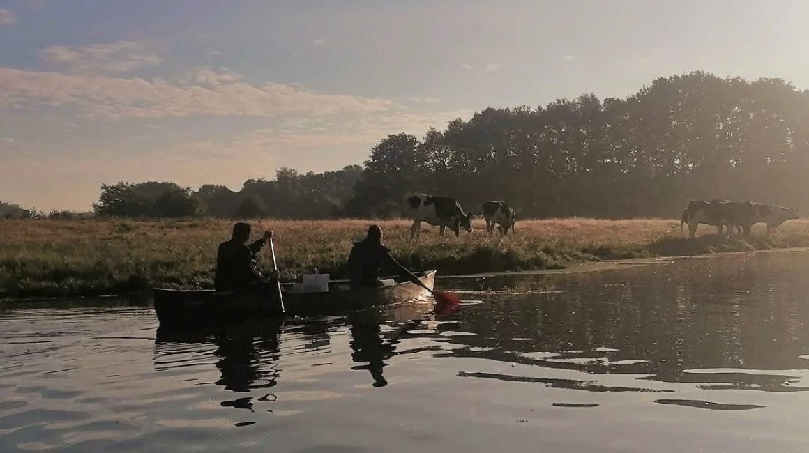 Twee mensen kanoën op een rivier bij zonsopkomst met grazende koeien in een veld op de achtergrond.