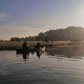 Twee mensen kanoën op een rivier bij zonsopkomst met grazende koeien in een veld op de achtergrond.