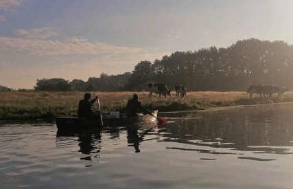 Twee mensen kanoën op een rivier bij zonsopkomst met grazende koeien in een veld op de achtergrond.