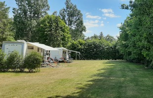 Wohnwagen stehen auf einem sonnigen Campingplatz mit gemähtem Rasen und hohen Bäumen am Rand.