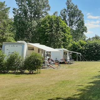 Caravans op een zonnige camping met grasveld en hoge bomen aan de rand van het perceel in de zomer.