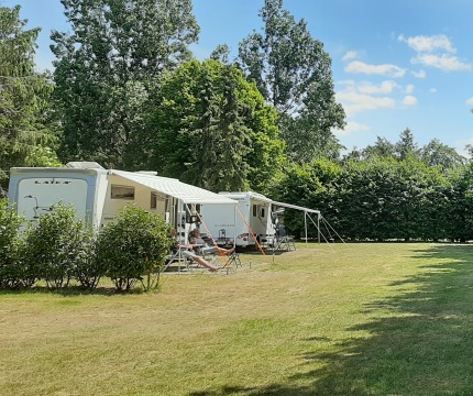 Caravans op een zonnige camping met grasveld en hoge bomen aan de rand van het perceel in de zomer.