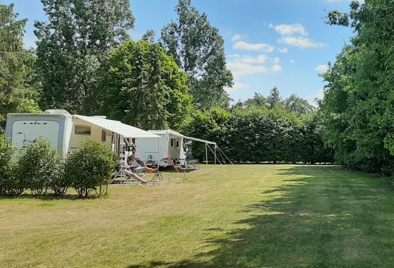 Caravans op een zonnige camping met grasveld en hoge bomen aan de rand van het perceel in de zomer.