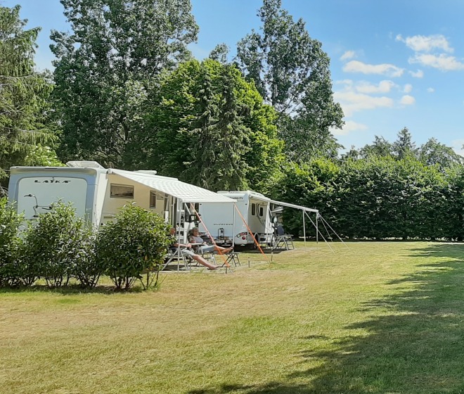 Caravans op een zonnige camping met grasveld en hoge bomen aan de rand van het perceel in de zomer.